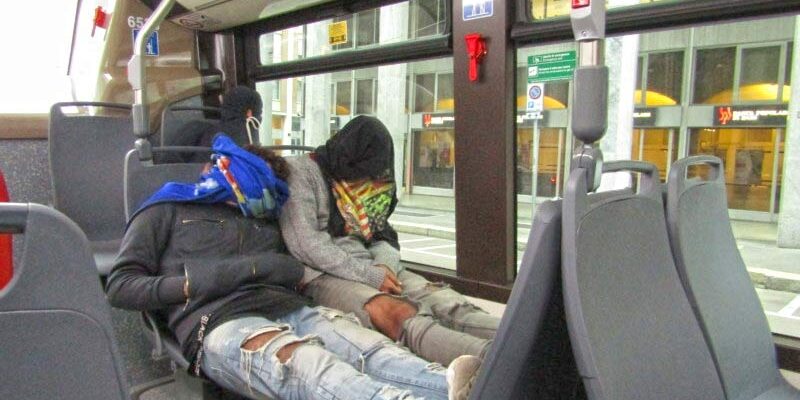 Незванные пассажиры в автобусах